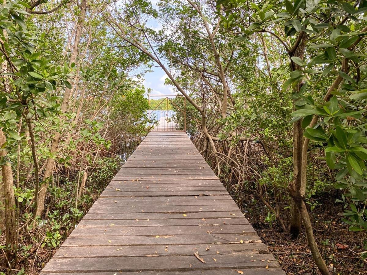 Villa Angela Isla Mujeres Dış mekan fotoğraf